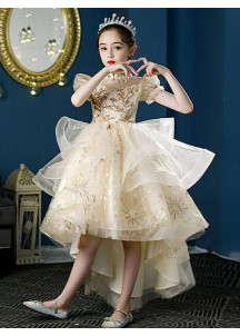 Golden Tulle Flower Girl Dress with Asymmetrical Skirt