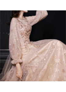 Champagne tulle evening gown embroidered with sequins and pearls