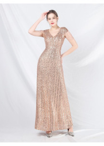 Champagne Ceremonial Gown with Elegant V-neckline and Fringed Sleeves