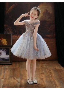 Sky Blue tulle Flower Girl Dress