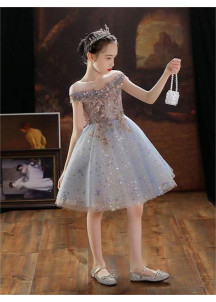 Sky Blue tulle Flower Girl Dress