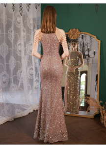 Shimmering champagne sequin fitted evening gown